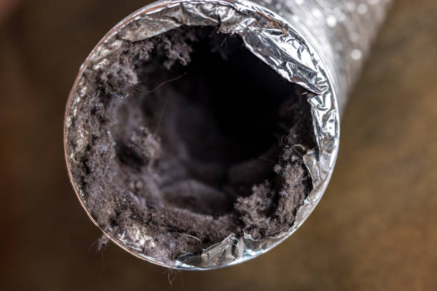 Best Affordable Air Duct Cleaning  in Gorman, NC