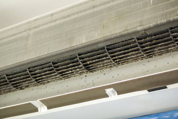 Best Home Air Vent Cleaning  in Gorman, NC